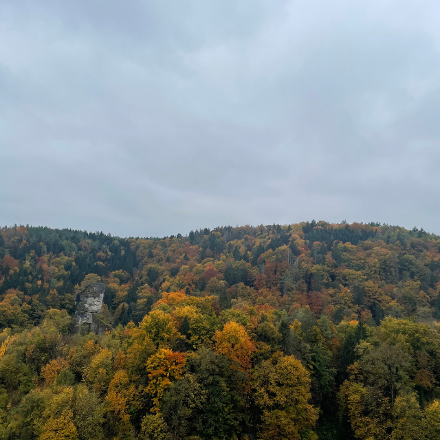 Aussicht auf Felsformation in Tüchersfeld.