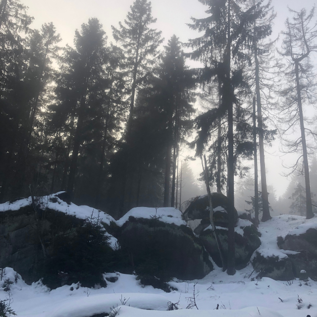 Felsen im Fichtelgebirge am Rande des Ochsenkopfes.